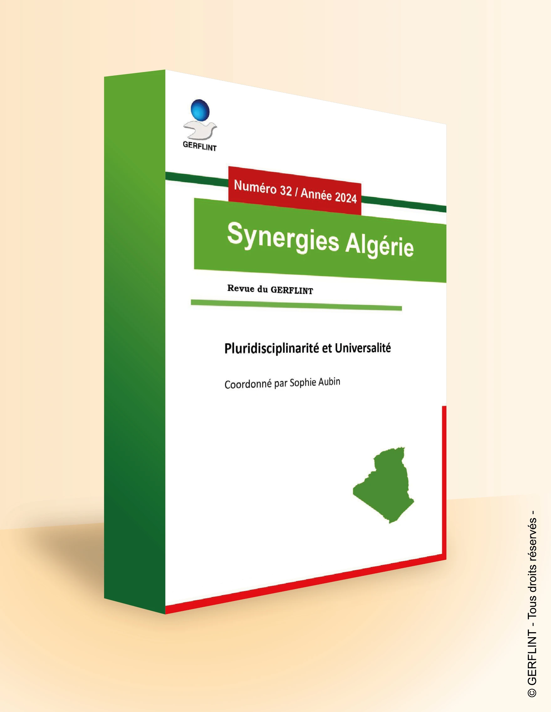 Couverture Synergies Algérie