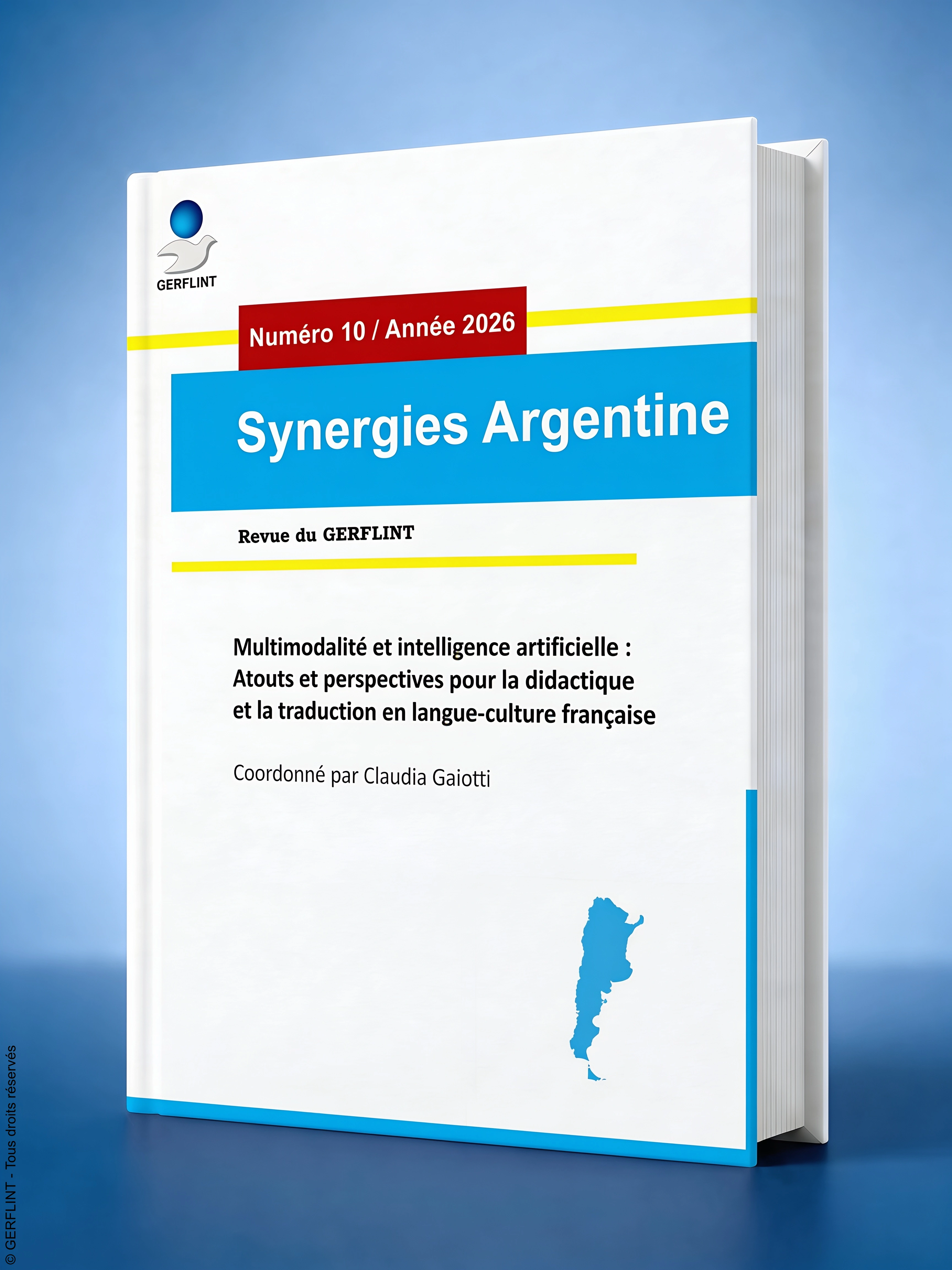 Couverture de Synergies Argentine nº 10