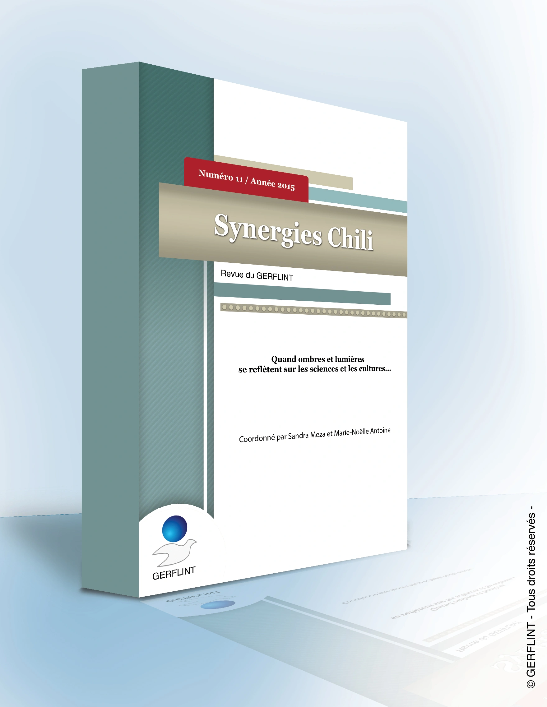 Couverture de Synergies Chili nº 11