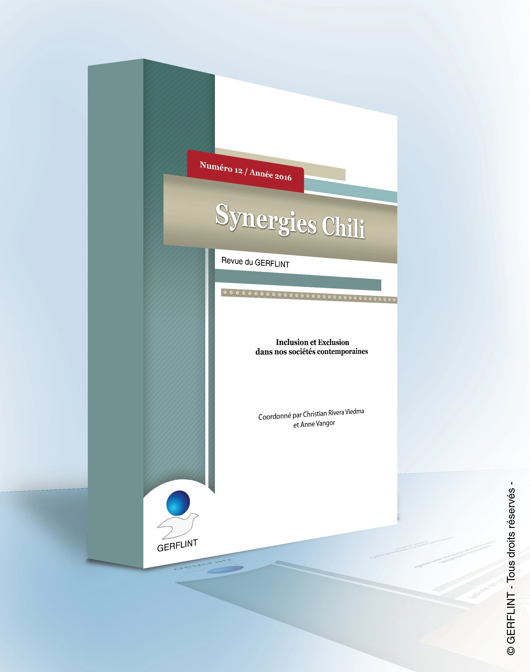 Couverture de Synergies Chili nº 12