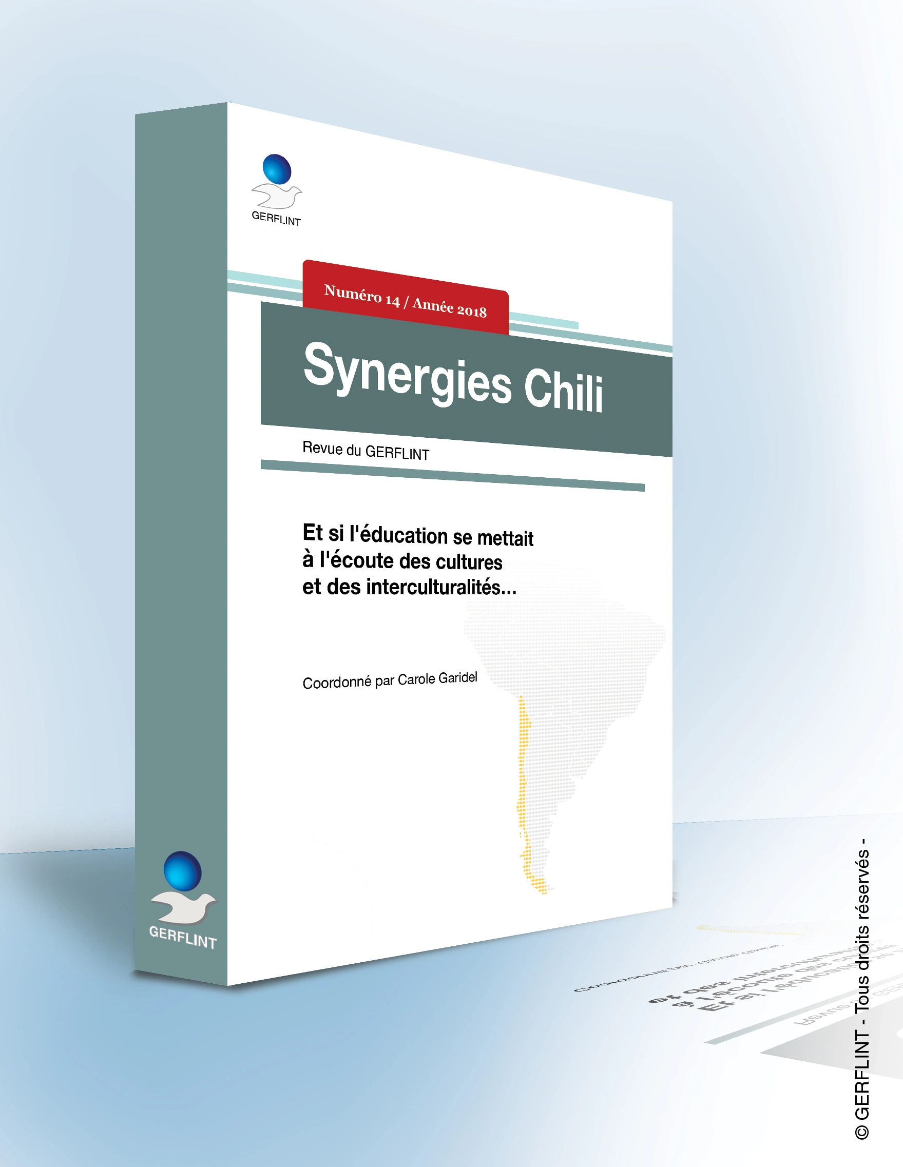 Couverture de Synergies Chili nº 14