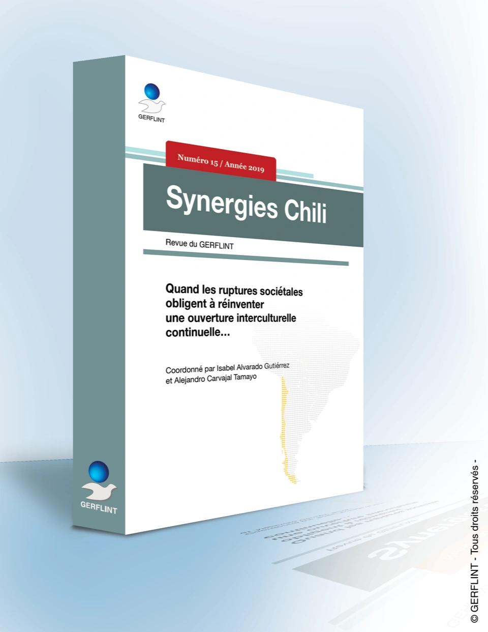 Couverture de Synergies Chili nº 15