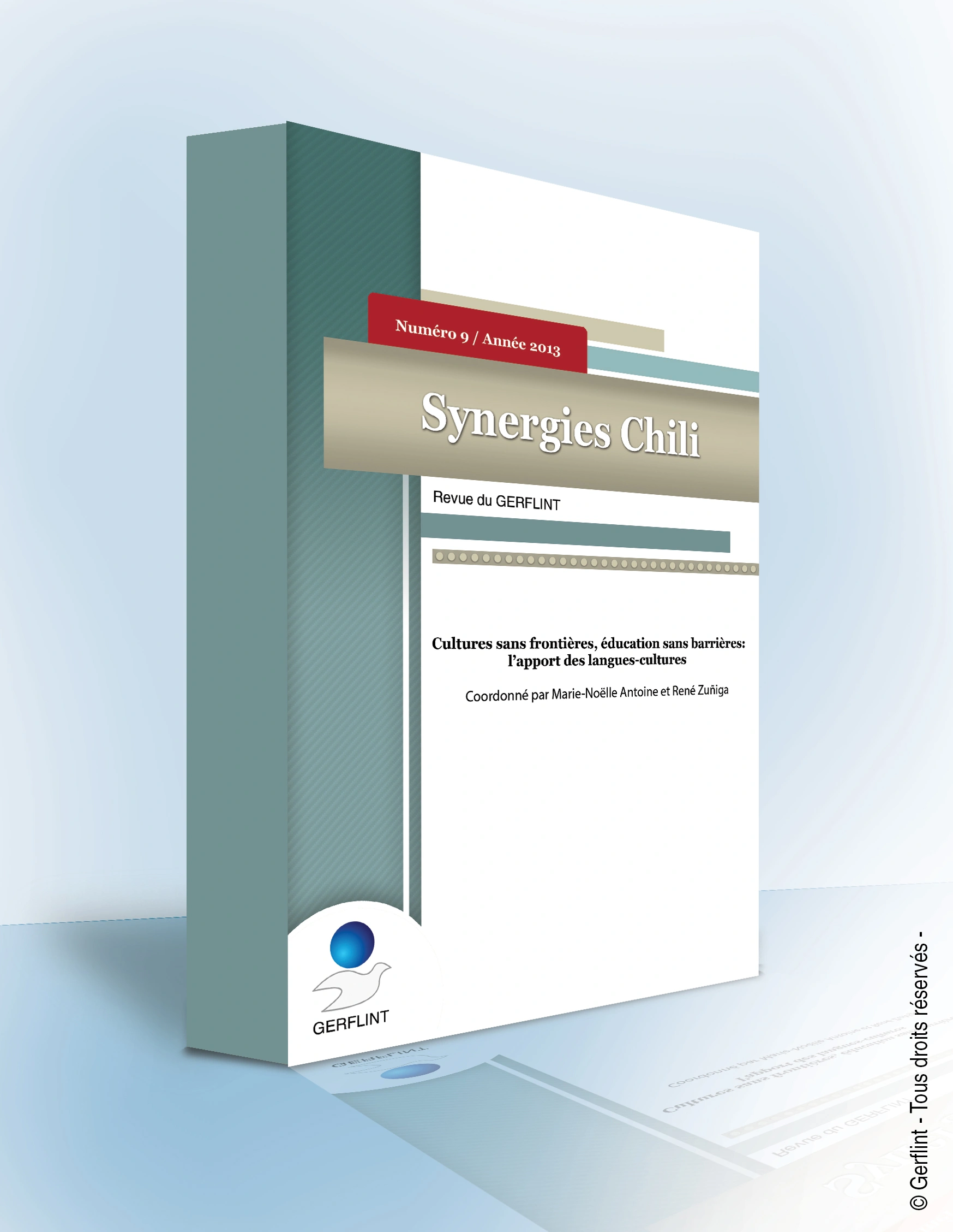 Couverture de Synergies Chili nº 9