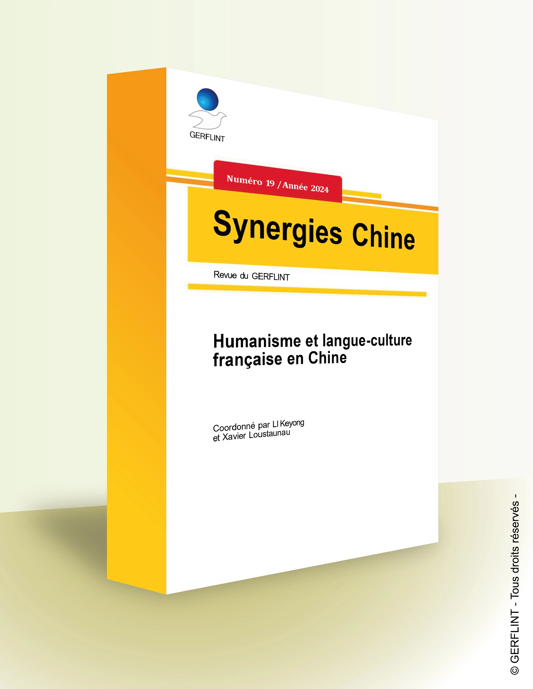 Couverture de Synergies Chine nº 19