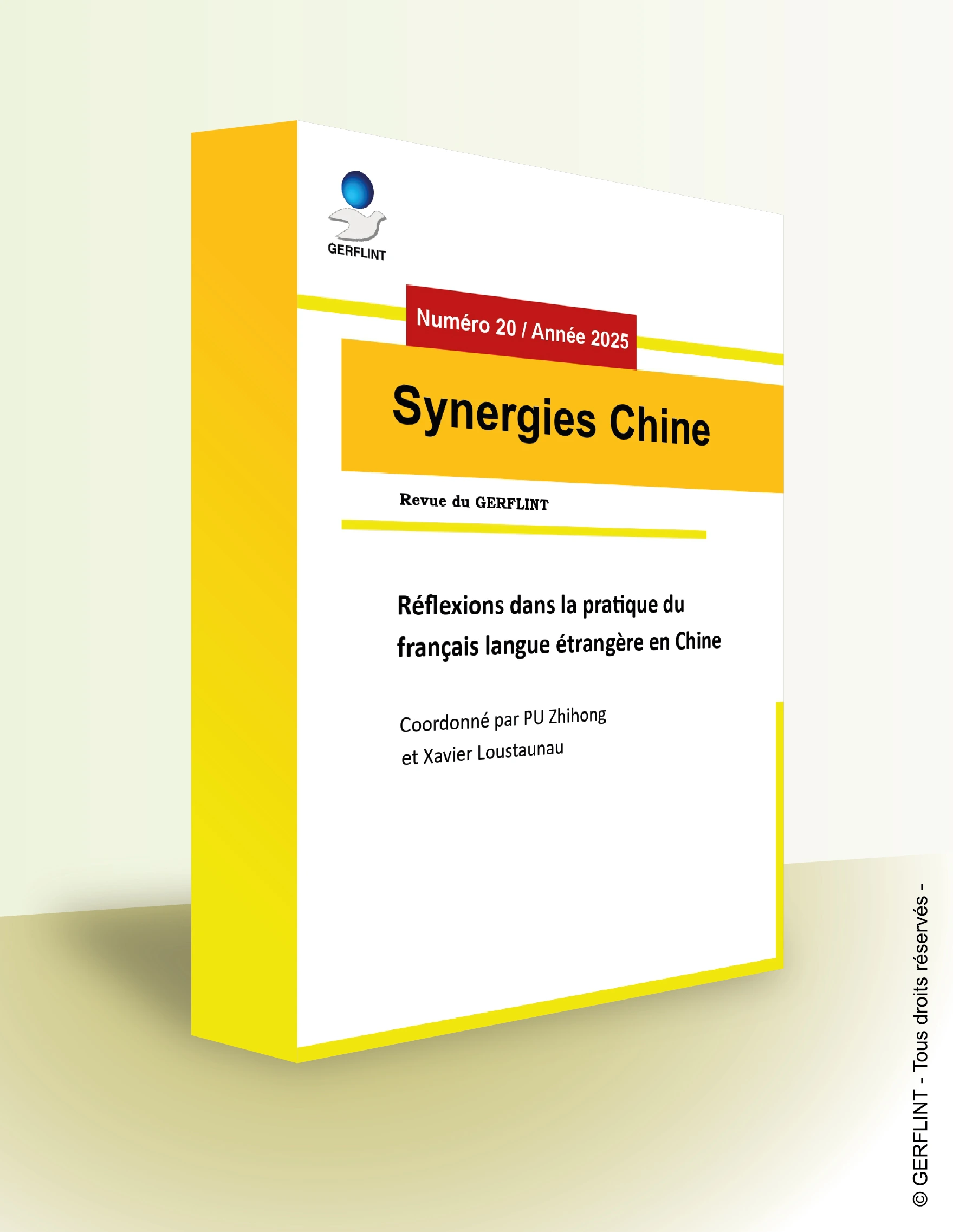Couverture de Synergies Chine nº 20