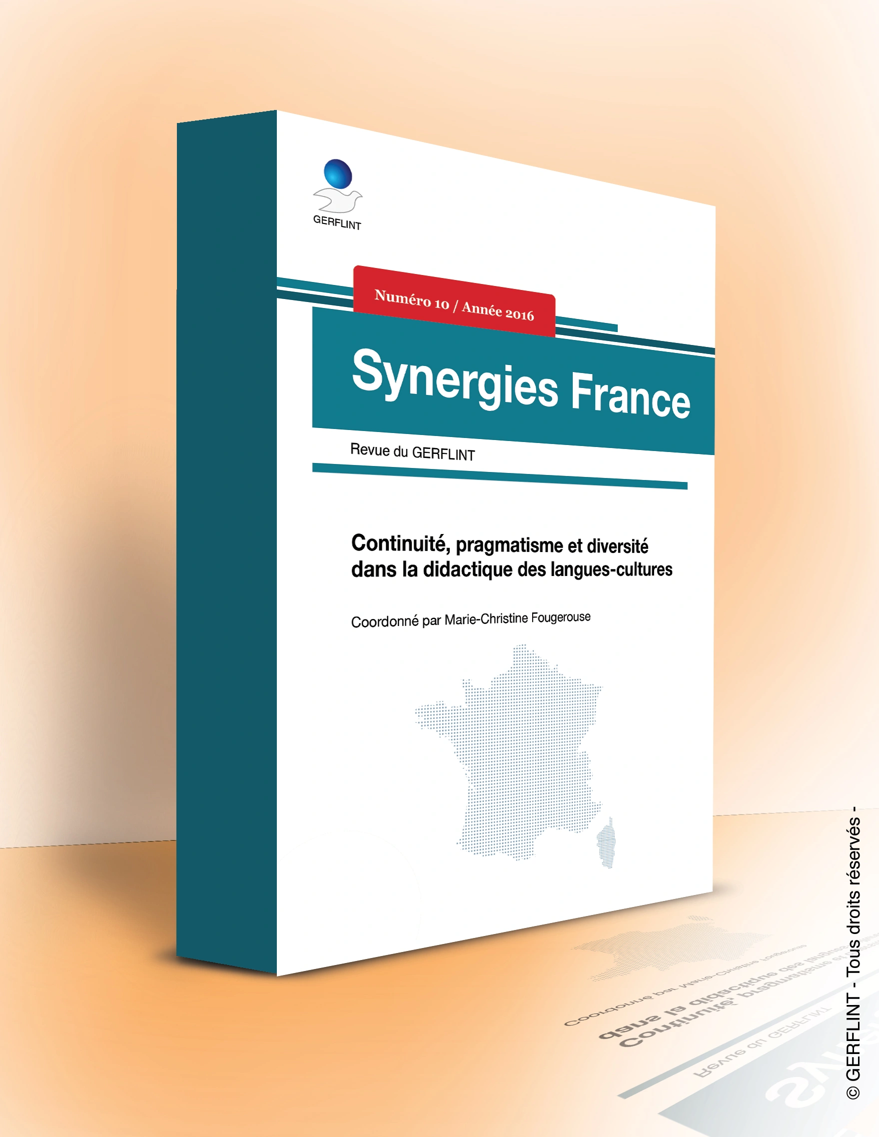 Couverture de Synergies France nº 10