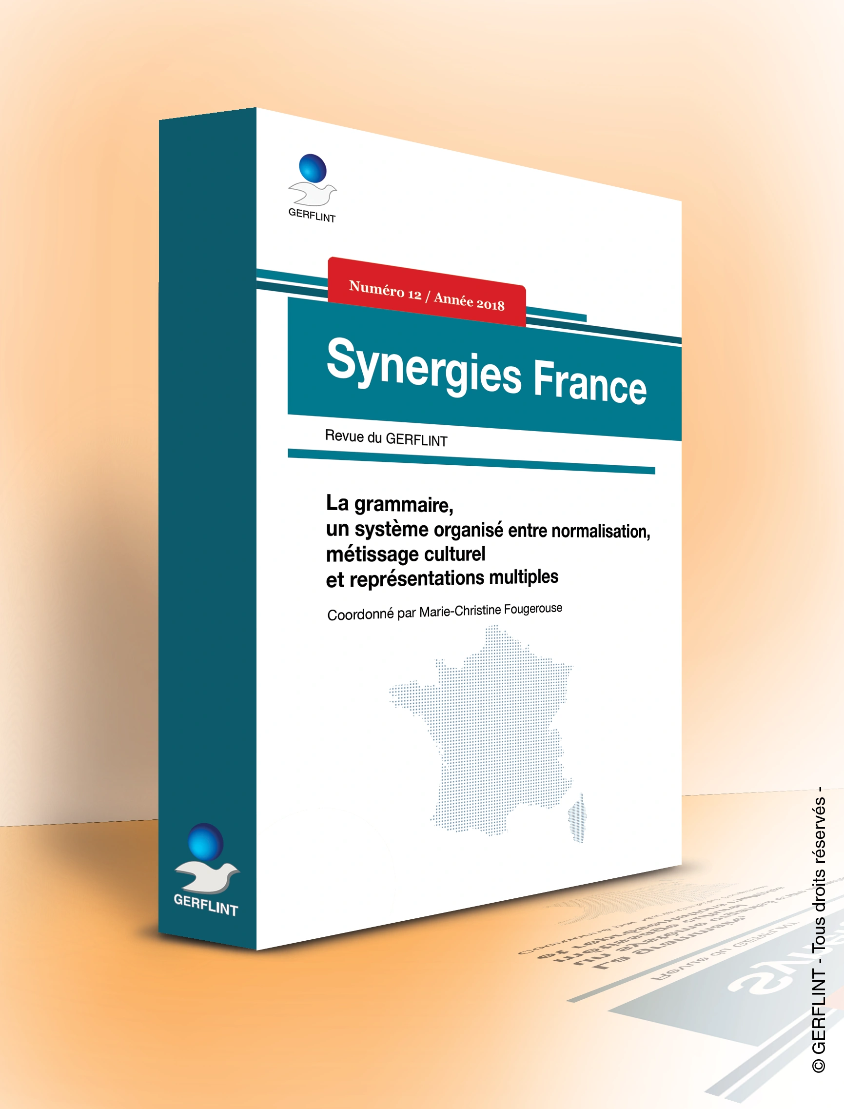 Couverture de Synergies France nº 12