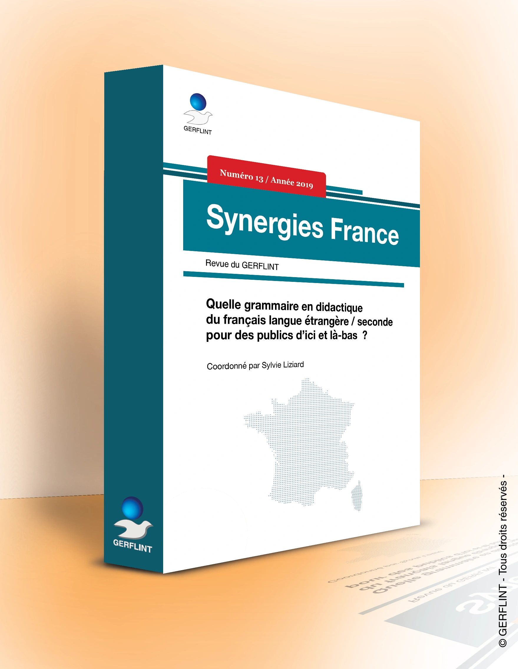 Couverture de Synergies France nº 13