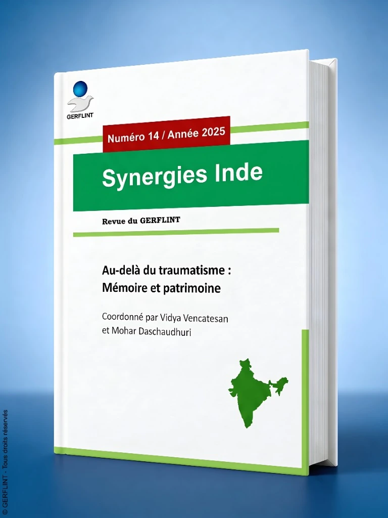 Couverture Synergies Inde