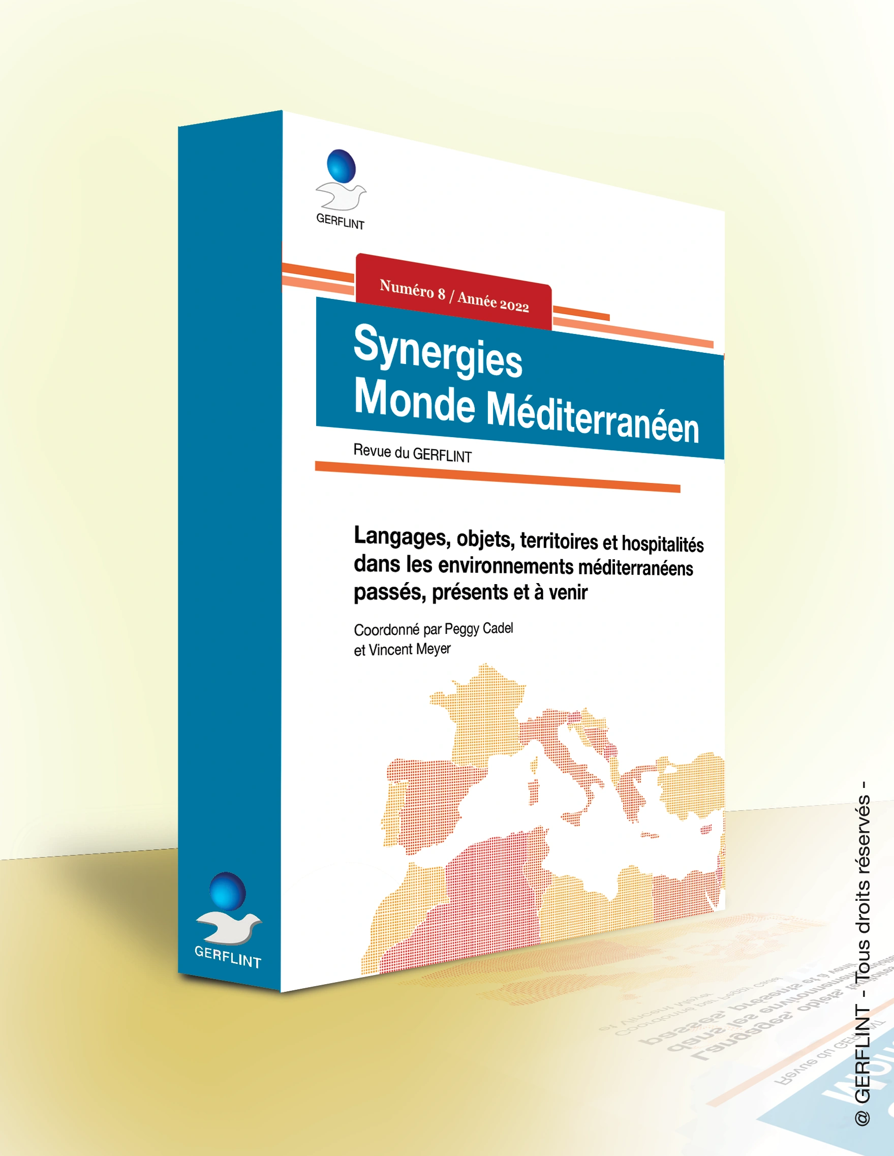 Couverture de Synergies Monde méditerranéen Numéro 8 - Année 2022
