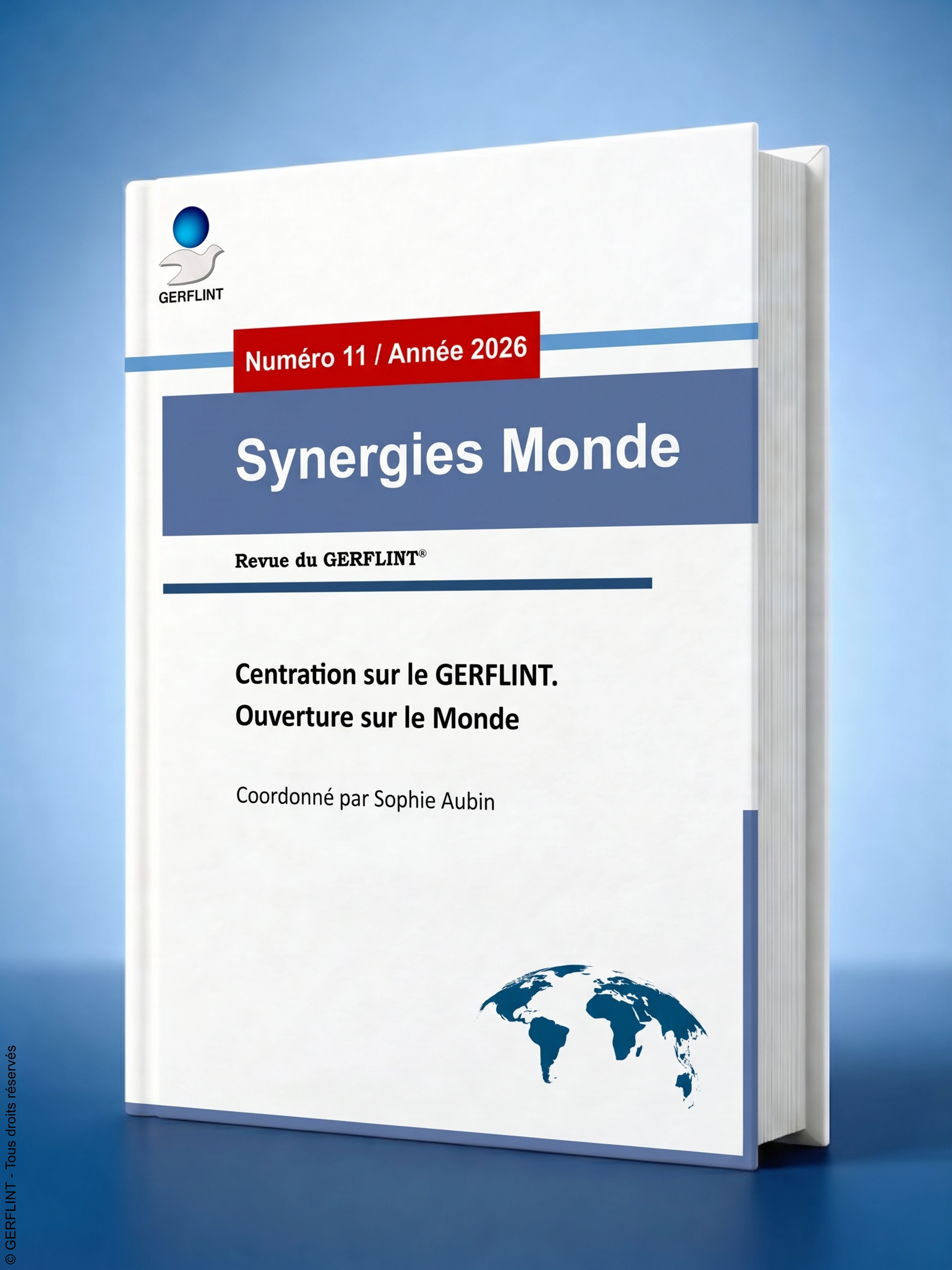 Couverture Synergies Monde