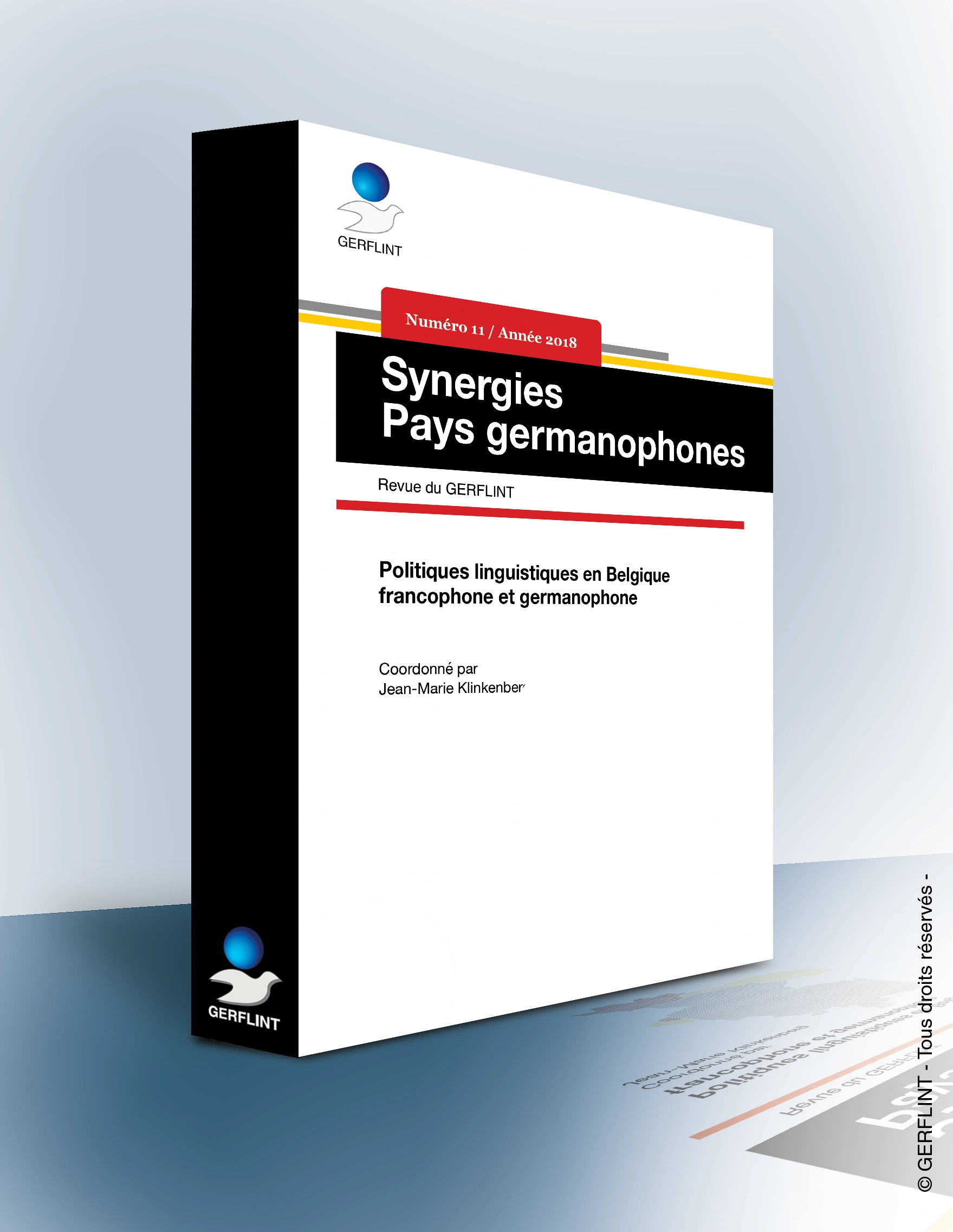 Couverture de Synergies Pays germanophones nº 11