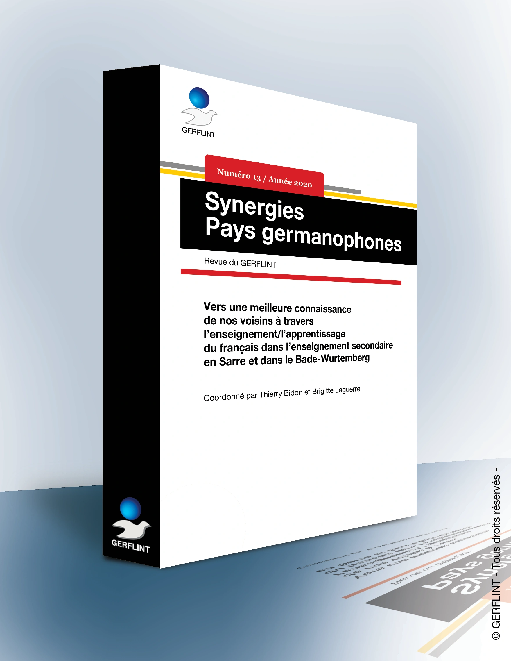Couverture de Synergies Pays germanophones nº 13