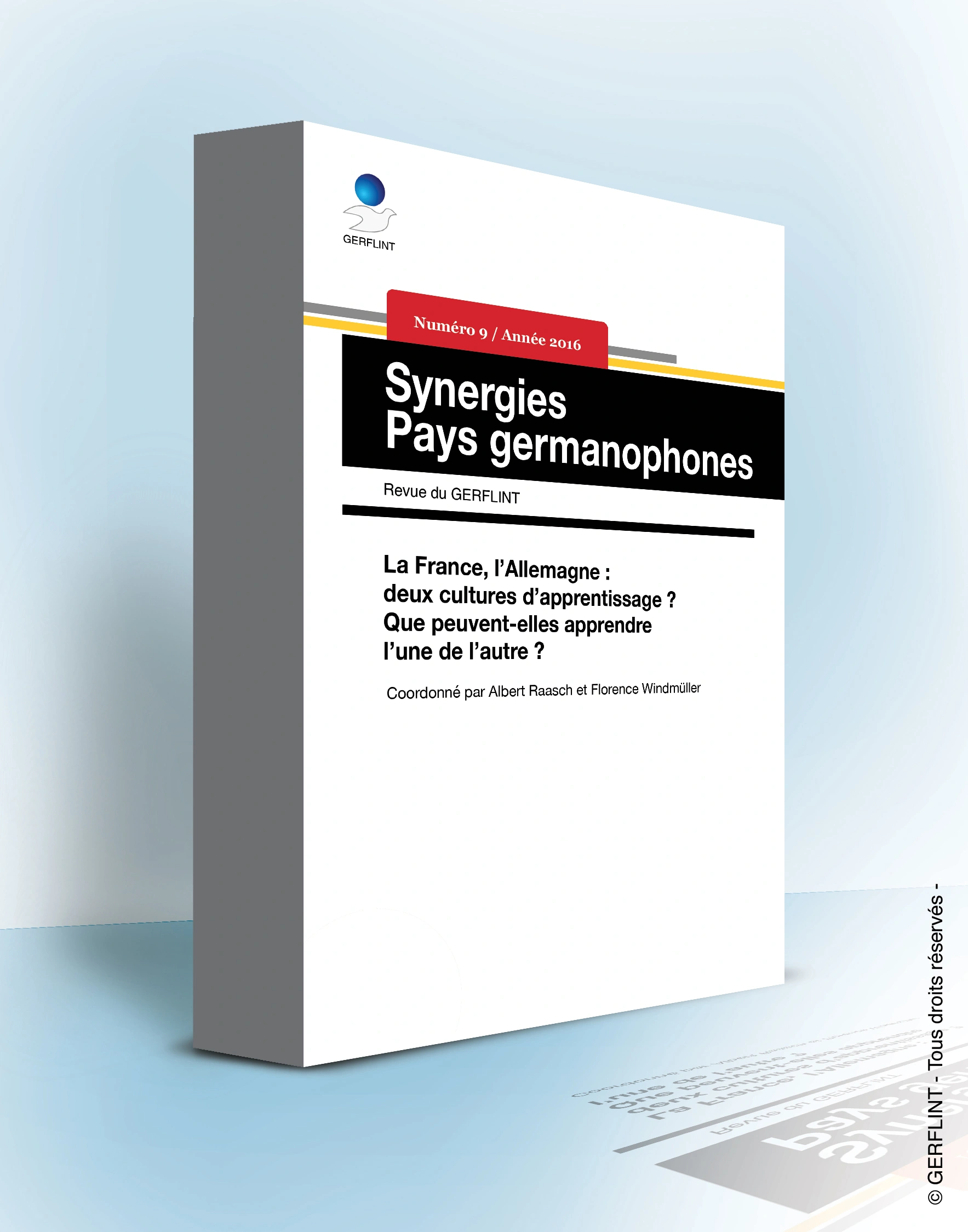 Couverture de Synergies Pays germanophones nº 9