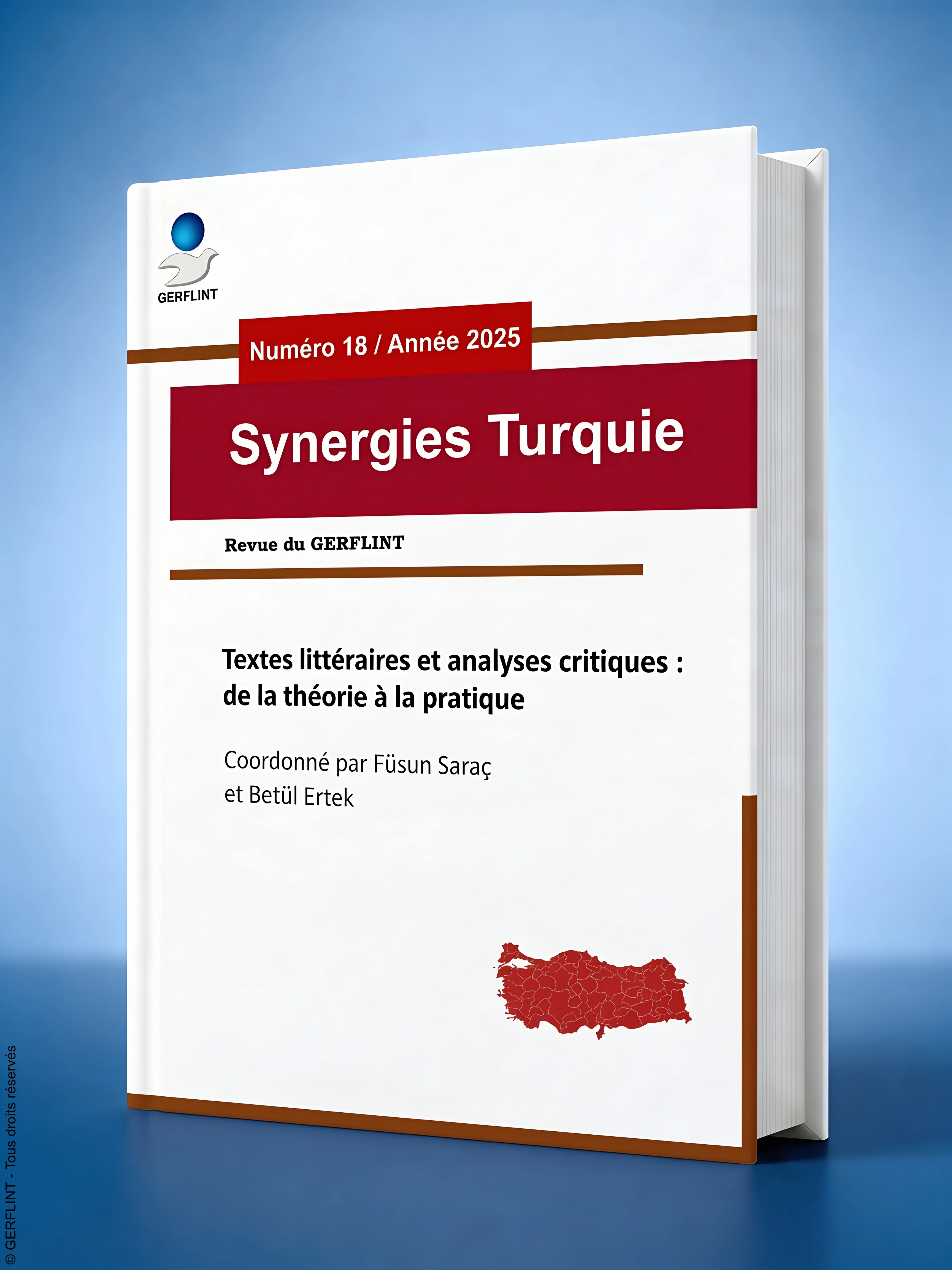Couverture de Synergies Turquie nº 18