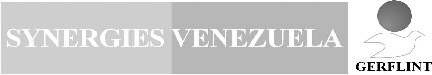 synergies-logo-normas.JPG
