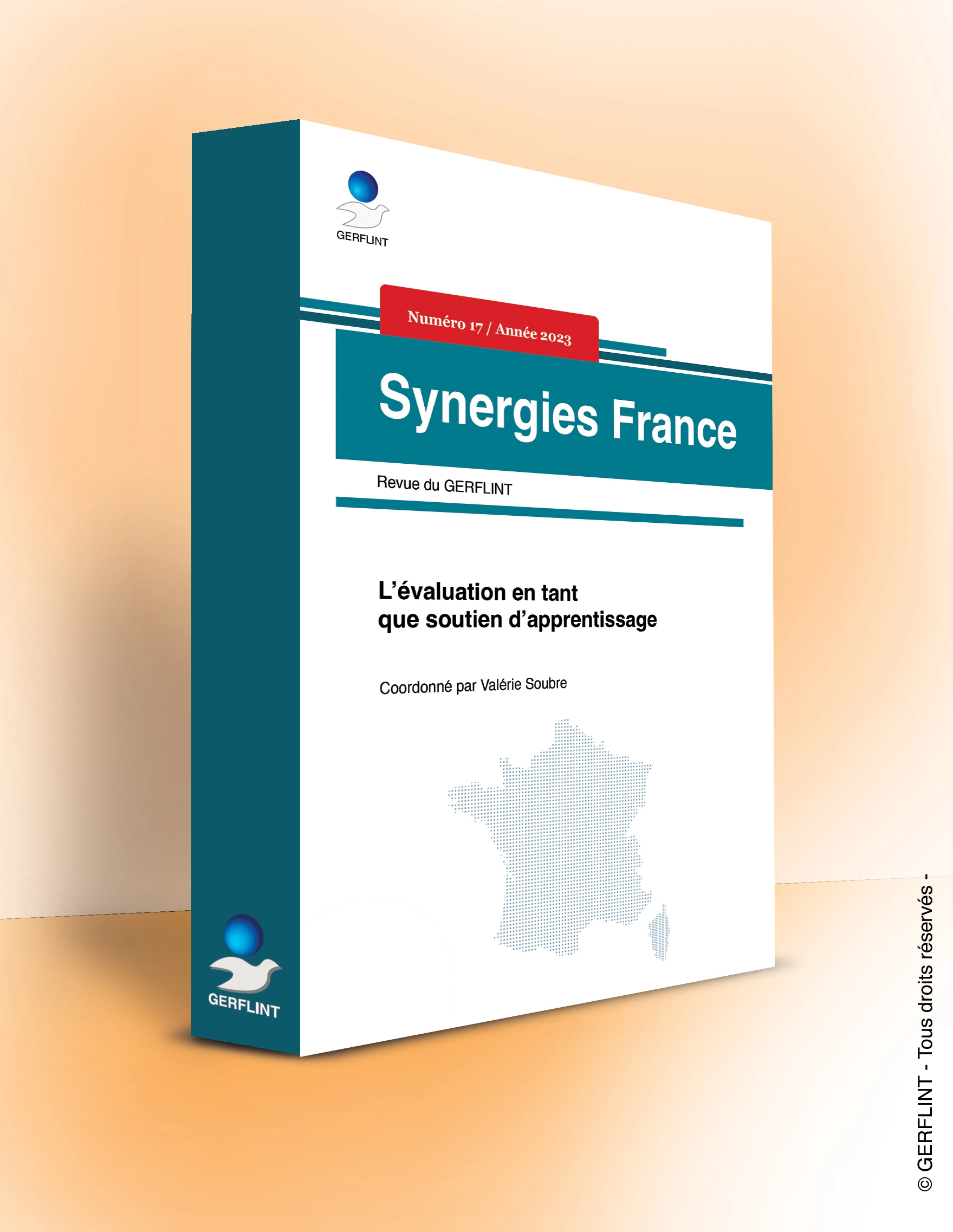 Couverture de Synergies France nº 17