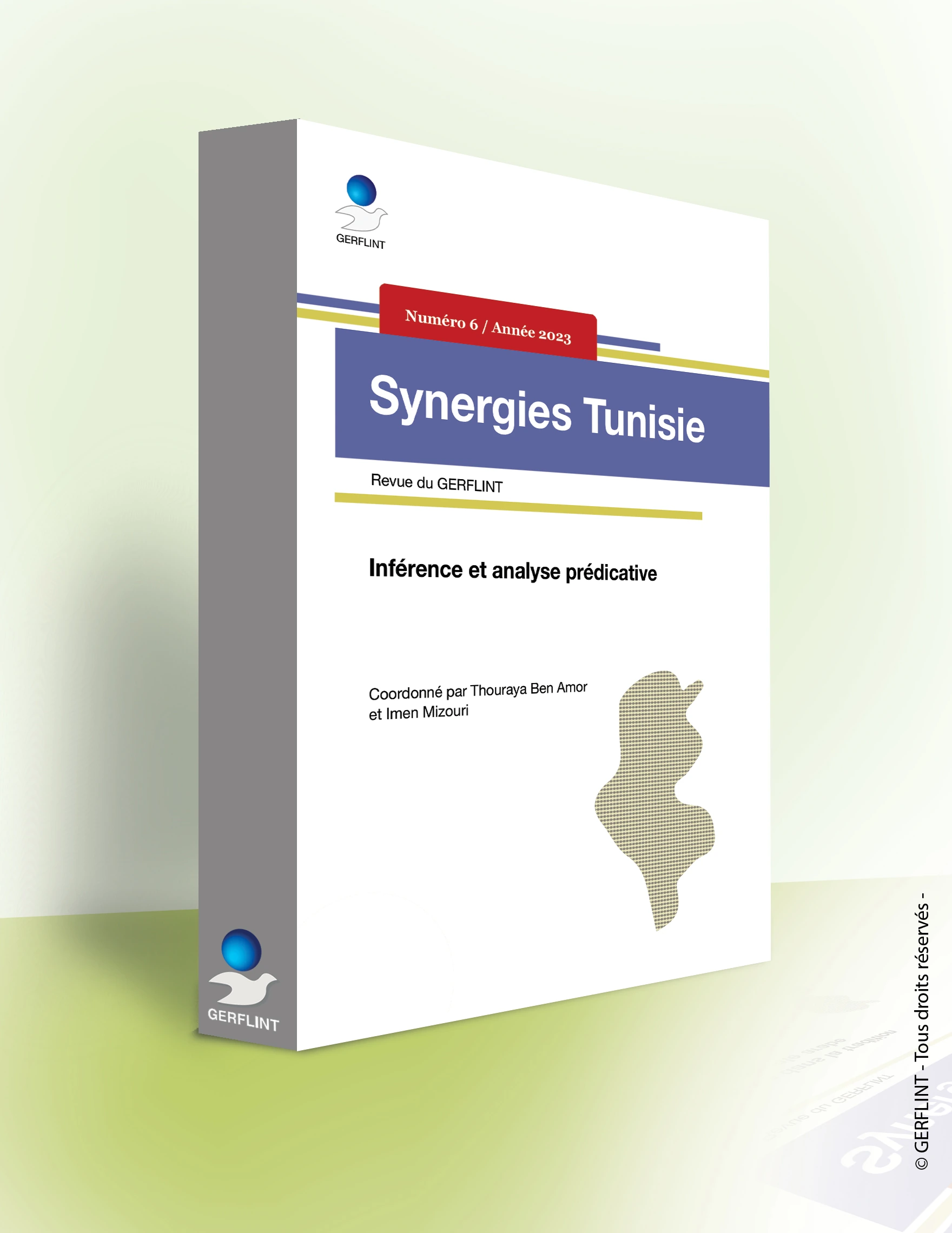 Couverture de Synergies Tunisie nº 6